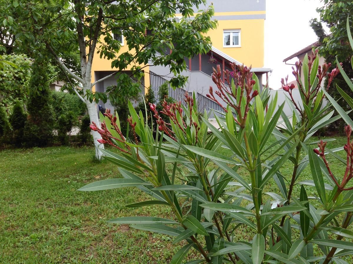Apartmani Jasmina 2 Bihac Exterior photo