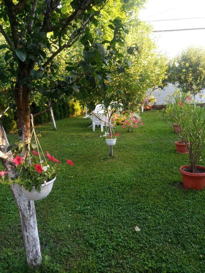 Apartmani Jasmina 2 Bihac Exterior photo